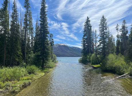 Avoid getting sick in the backcountry or worse